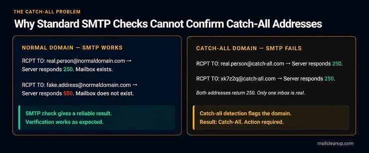 Catch-All Domain Explainer
