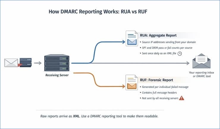 How DMARC Reporting Works - RUA vs RUF
