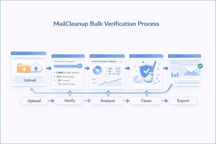 MailCleanup Bulk Verification Process