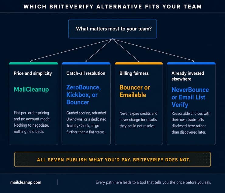 BriteVerify Alternatives - Which Tool Fits Your Team - Decision Diagram